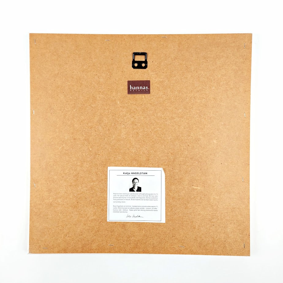 Hannas Details sisustustaulu 39 x 39 cm