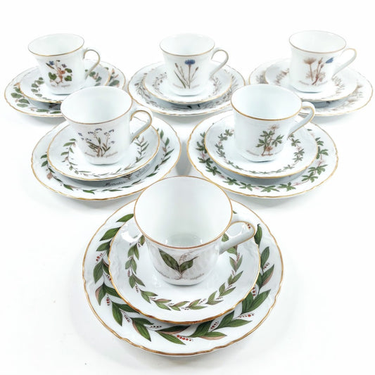 Hutschenreuther Flora Nordic kahvikuppisetti 18 osaa