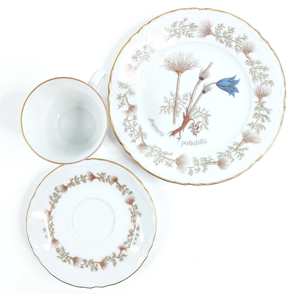Hutschenreuther Flora Nordic kahvikuppisetti 18 osaa