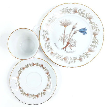Hutschenreuther Flora Nordic kahvikuppisetti 18 osaa