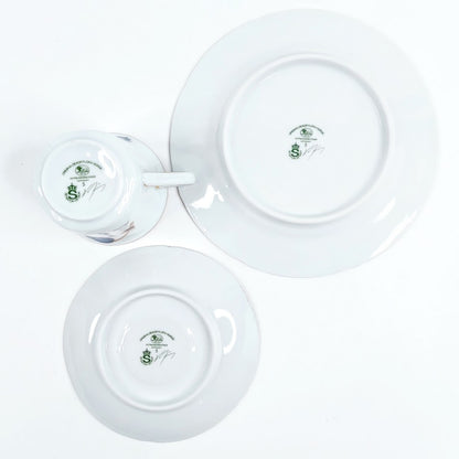 Hutschenreuther Flora Nordic kahvikuppisetti 18 osaa