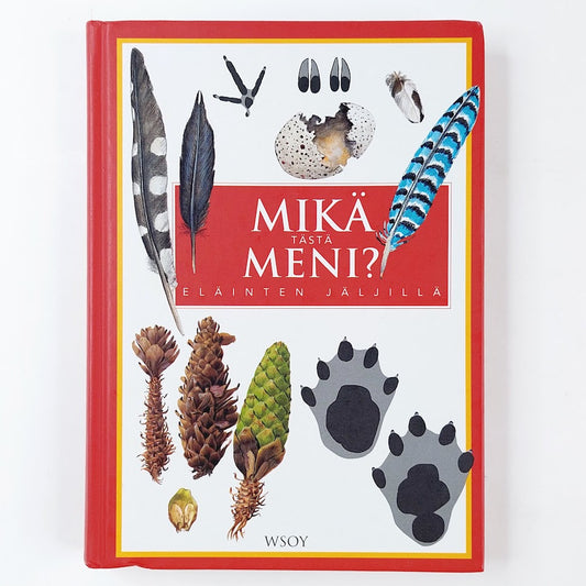 Mikä tästä meni?