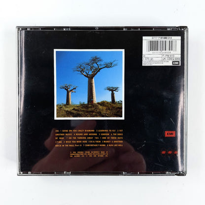 Pink Floyd: Delicate Sound Of Thunder 2CD