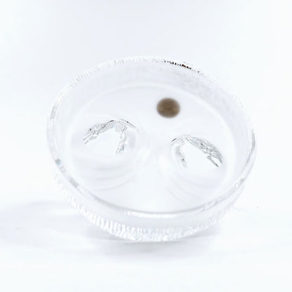 Royal Crystal Rock joutsenet kristallifiguuri