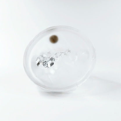 Royal Crystal Rock kissa ja pennut kristallifiguuri