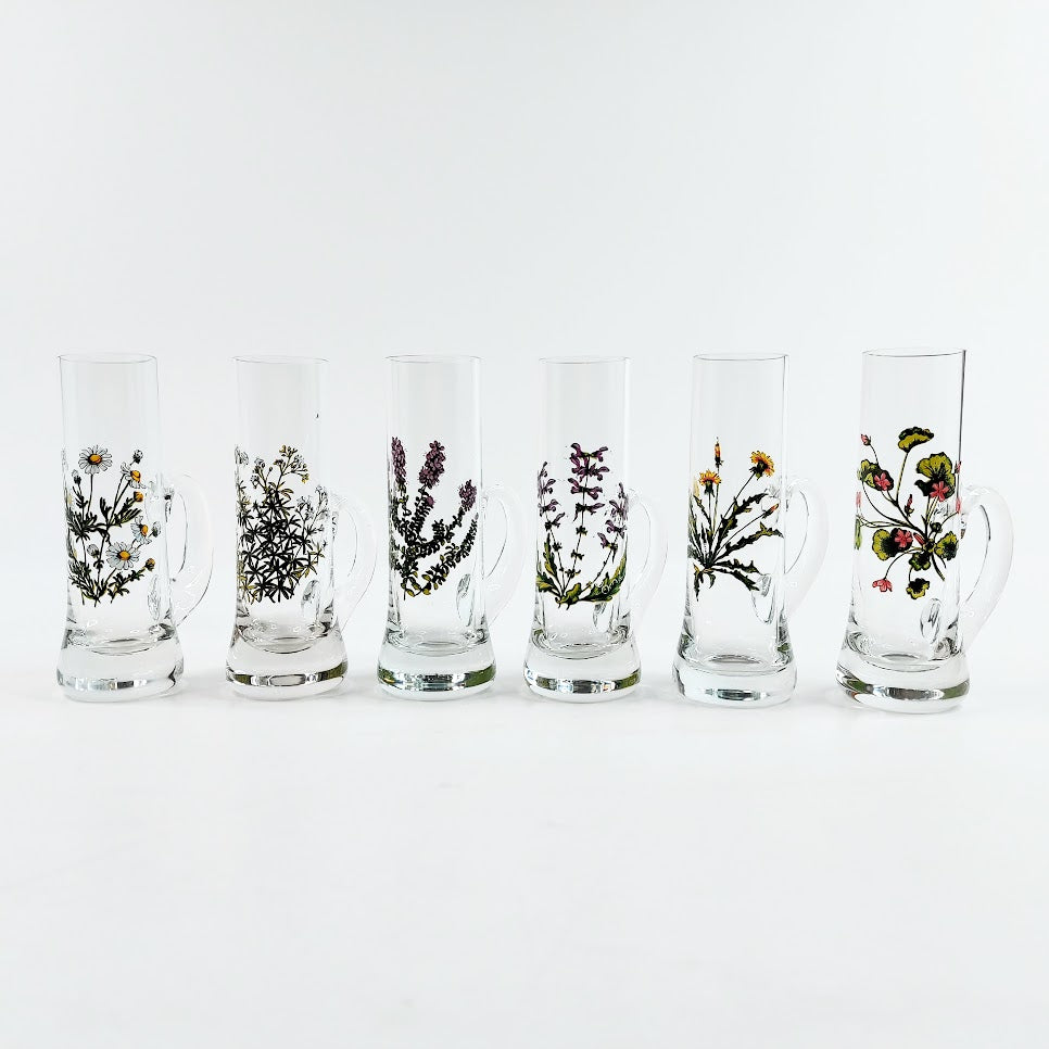 Snapsilasi villikukat 6 kpl