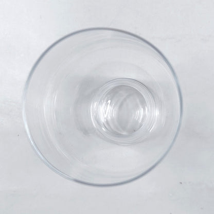 Spiegelau IPA olutlasi