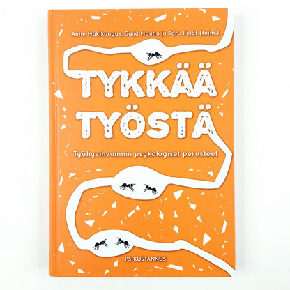 Anne Mäkikangas, Saija Mauno ja Taru Feldt: Tykkää työstä