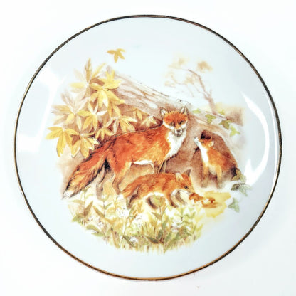 Wildlife of Britain Foxes / Ketut koristelautanen