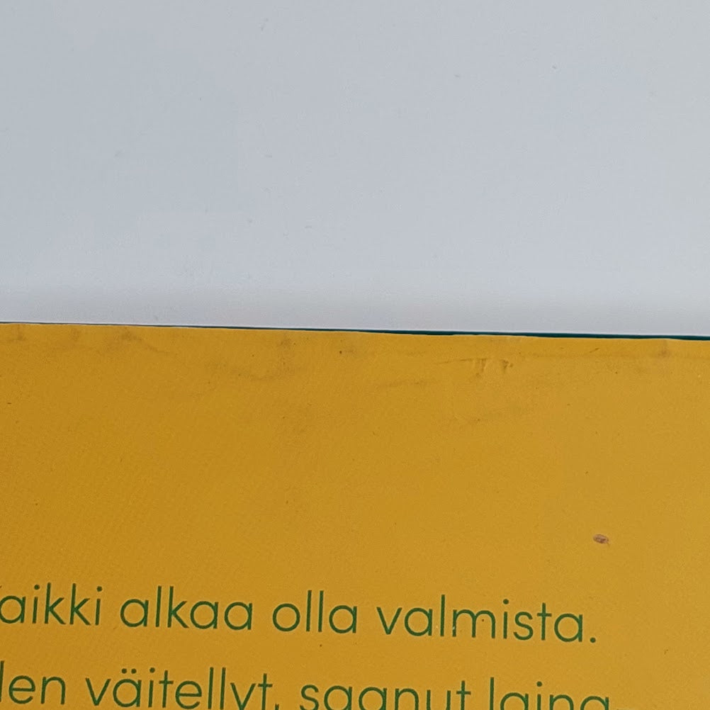 Anna Alanko: Ensimmäinen kesäpäivä