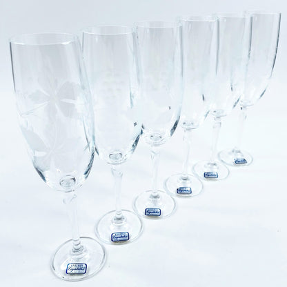 Bohemia Cristalline Crystalex Grapevine samppanjaviinilasi 6 kpl