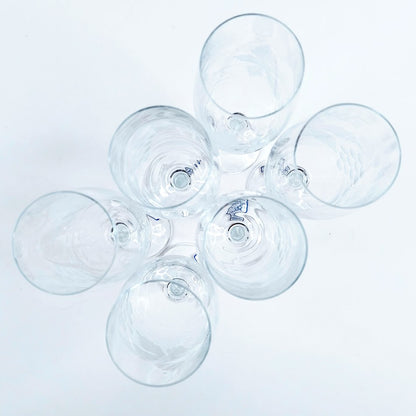 Bohemia Cristalline Crystalex Grapevine samppanjaviinilasi 6 kpl