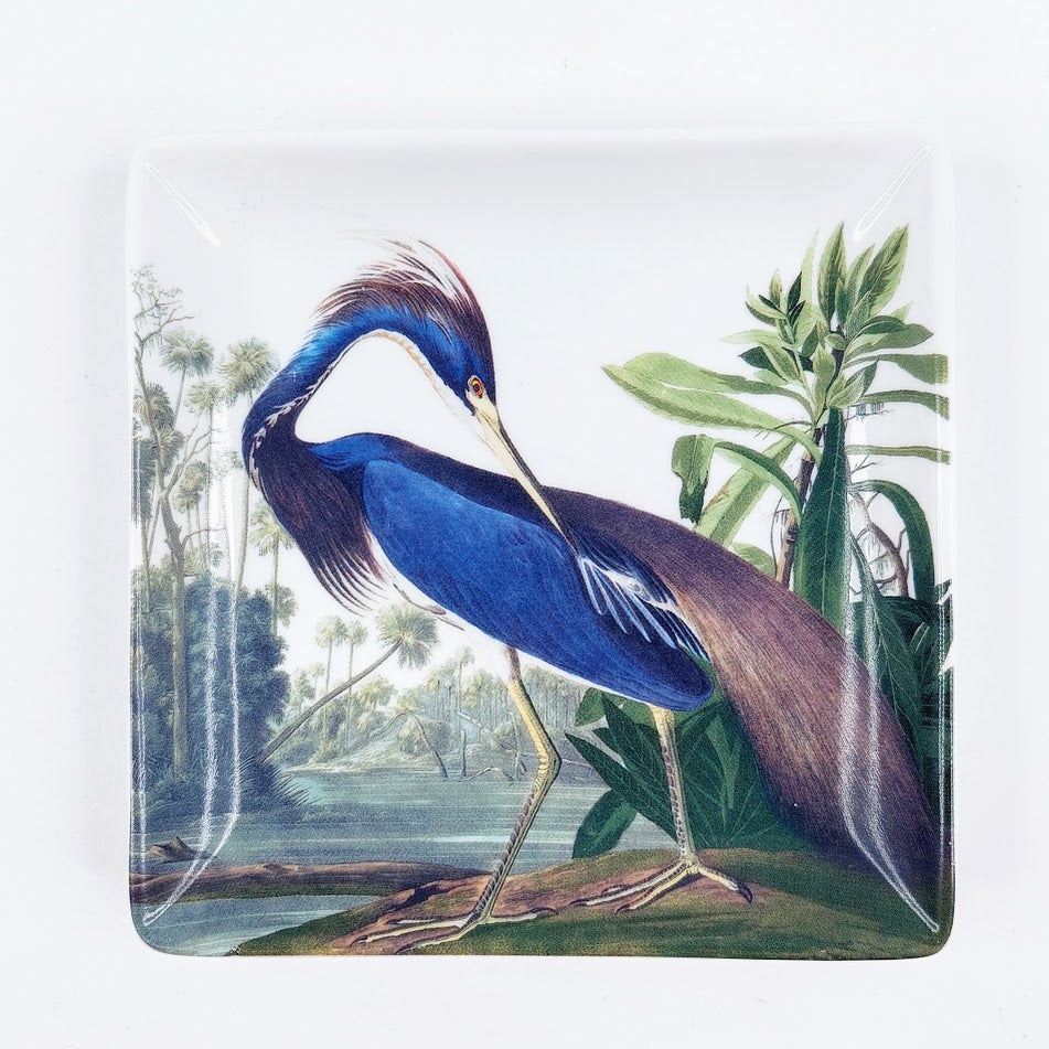 Magpie Bird lautanen