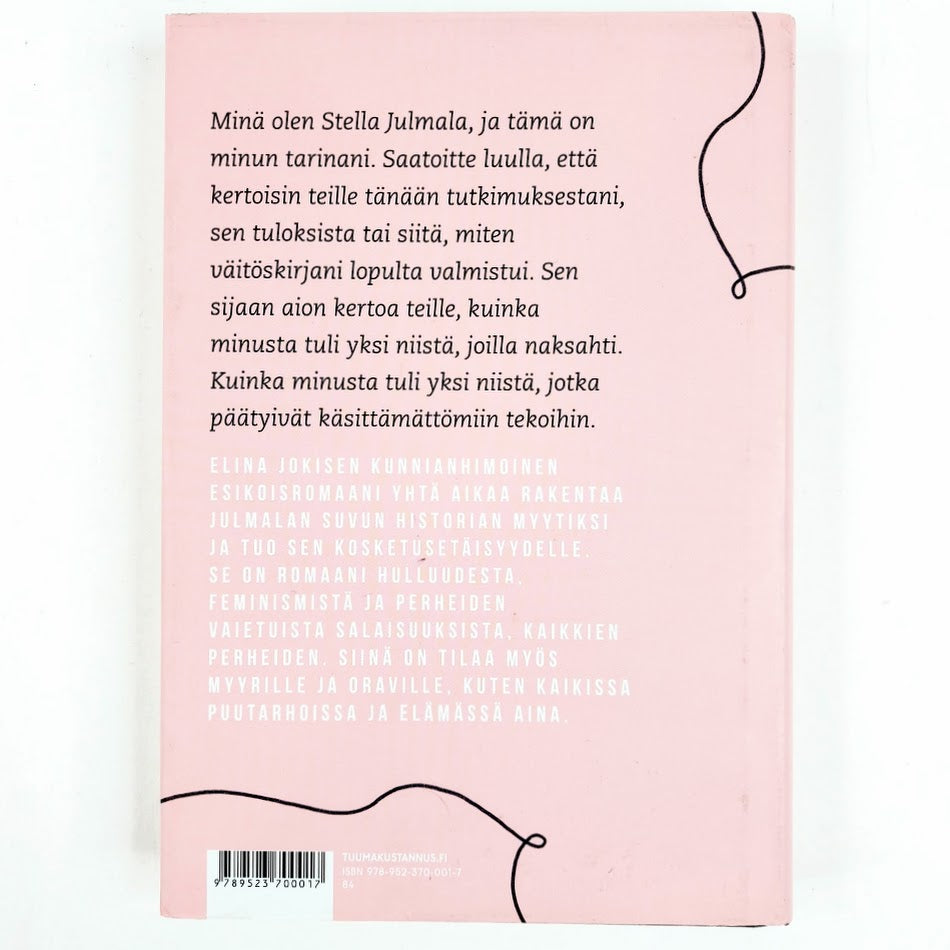 Elina Jokinen: Päivä, jona Stella Julmala tuli hulluksi